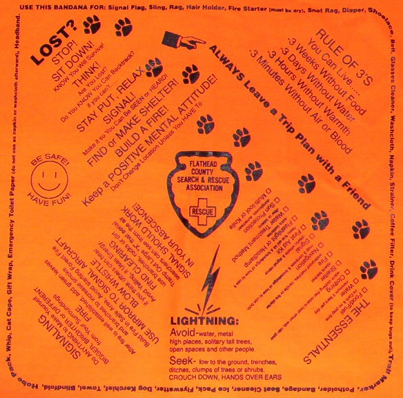  Custom Printed Bandana
